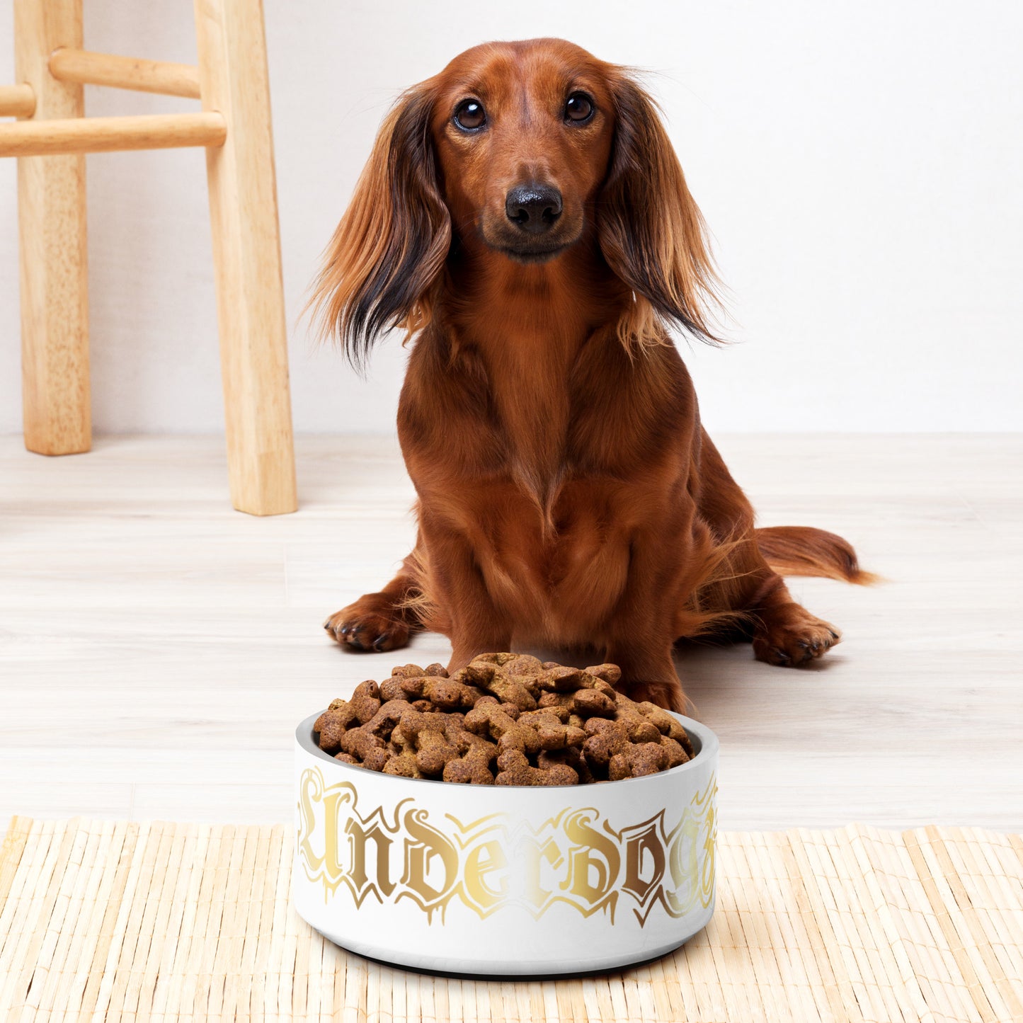 Futternapf für Hunde und Katzen Gold