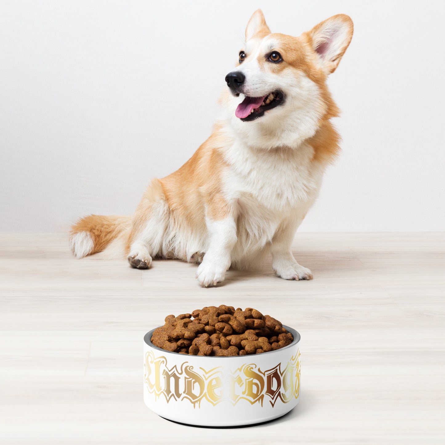 Futternapf für Hunde und Katzen Gold