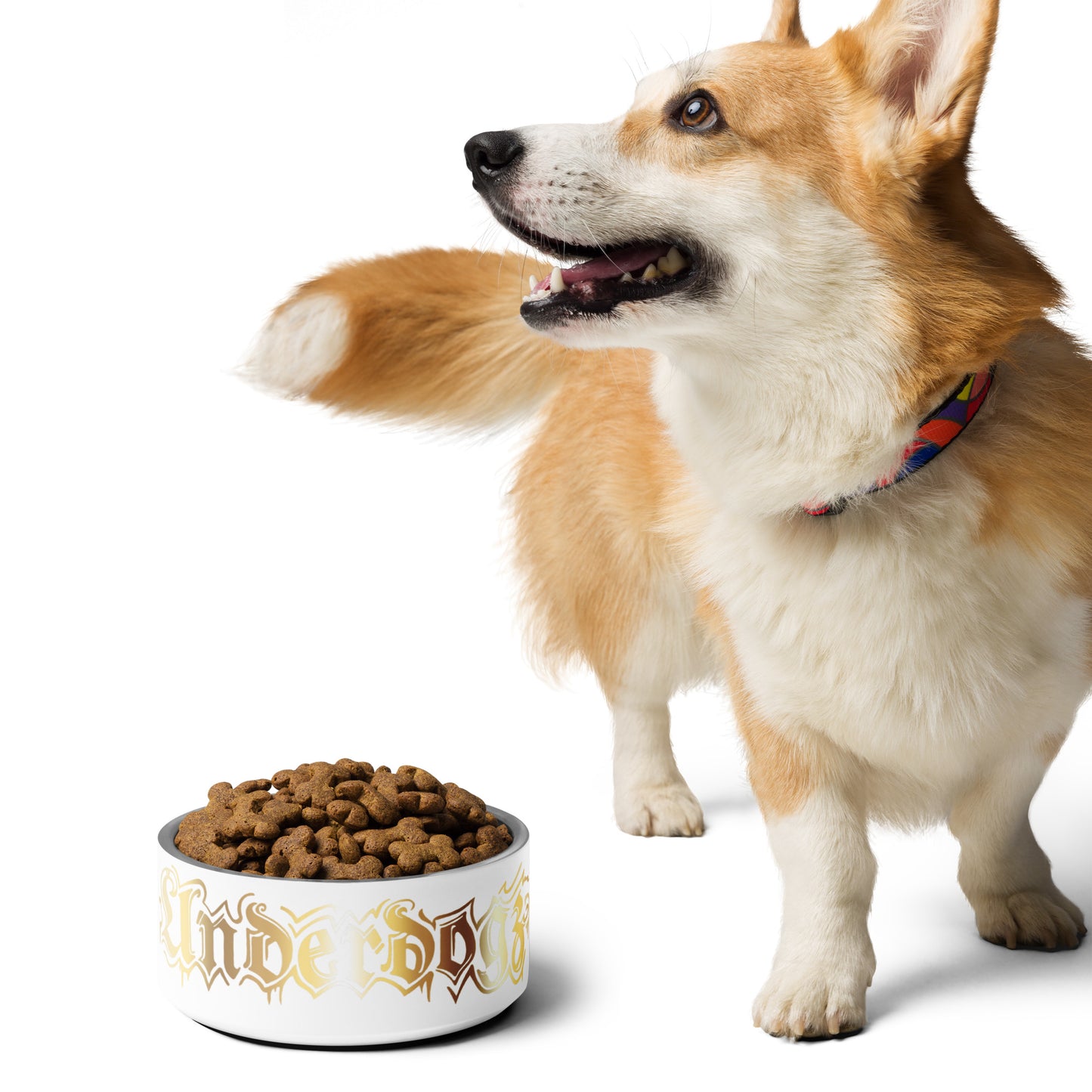 Futternapf für Hunde und Katzen Gold