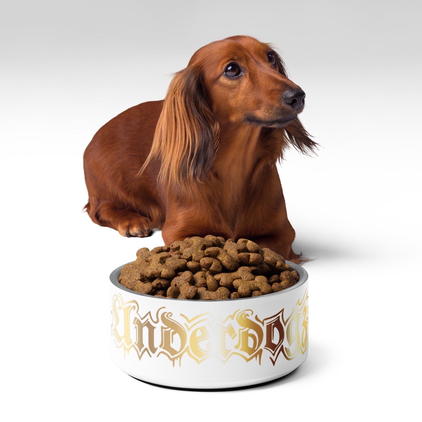 Futternapf für Hunde und Katzen Gold