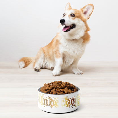 Futternapf für Hunde und Katzen Gold
